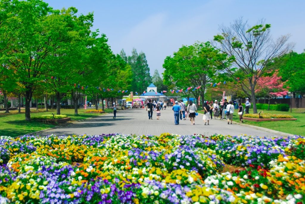 色とりどりの花が咲く広場