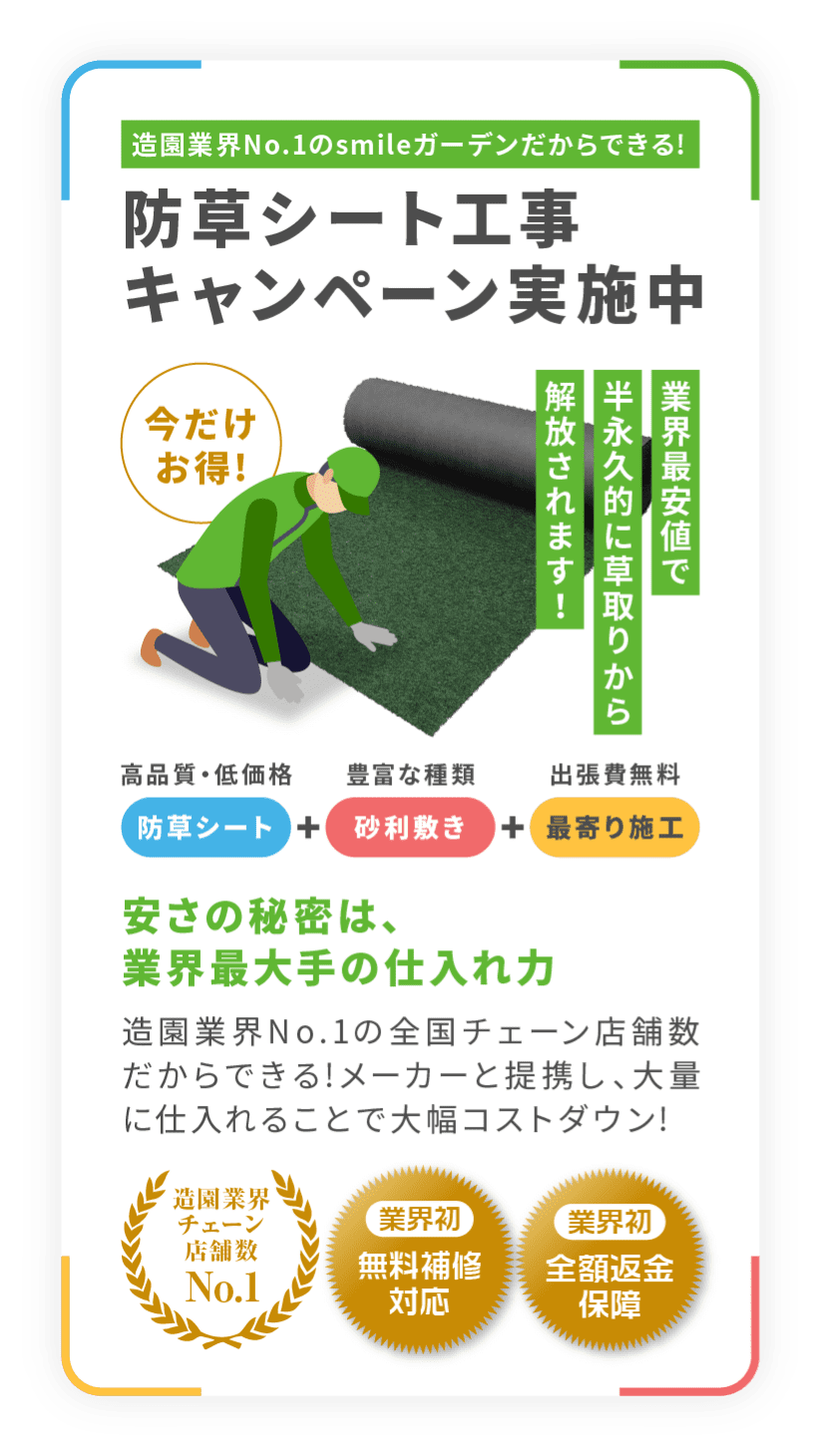 雑草が生えないようにする方法をプロが教えます！