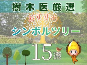 樹木医厳選｜デザイン・場所・管理状況別おすすめシンボルツリー15選
