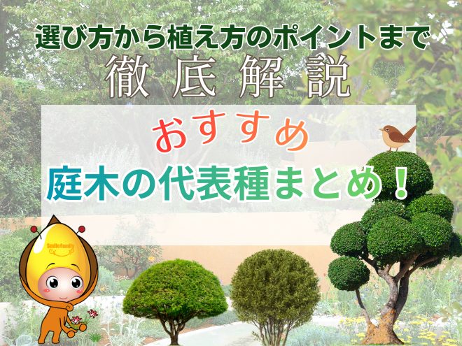 【状況別】庭木の代表種まとめ！選び方から植え方のポイントまで徹底解説