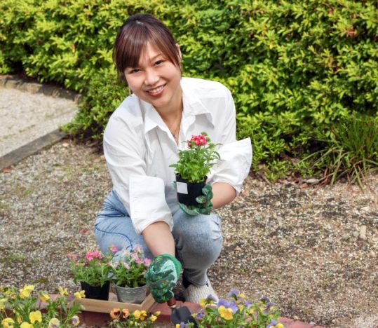 樹木の種類別に生垣の剪定方法や時期 おすすめの道具 注意点をまとめました お庭の窓口