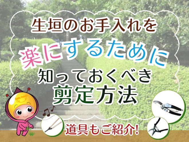 生垣のお手入れを楽にするために、知っておくべき剪定方法