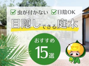 虫が付かない、日陰OK！目隠しできる庭木おすすめ15選