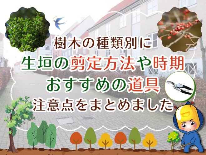 樹木の種類別に生垣の剪定方法や時期、おすすめの道具、注意点をまとめました
