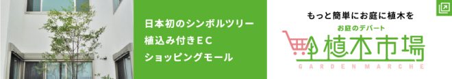 風水 運気が向上するとされるシンボルツリーを紹介 お庭の窓口