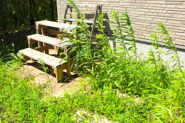 庭によく生える雑草16種類と駆除の仕方もご紹介します お庭の窓口