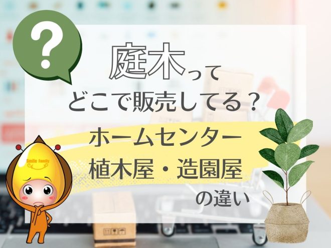 庭木ってどこで販売してる？ホームセンター・植木屋・造園屋の違い
