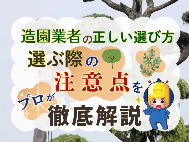 造園業者の正しい選び方・選ぶ際の注意点をプロが徹底解説