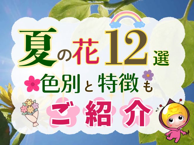 防草シートの料金と種類を徹底比較！庭のプロが選抜しました