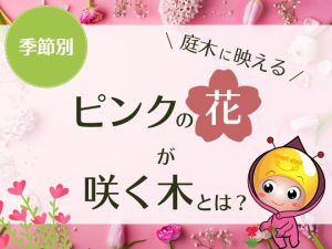 季節別庭木に映えるピンクの花が咲く木とは？