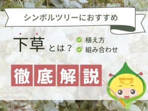 シンボルツリーにおすすめ下草とは？植え方組み合わせ徹底解説