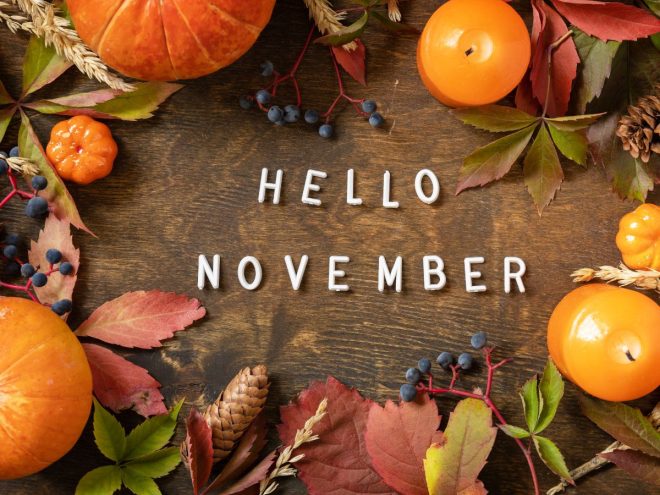 「HELLO NOVEMBER」の文字と秋の飾り