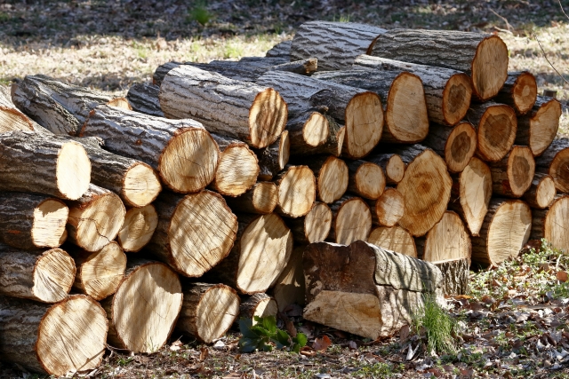 木材の写真