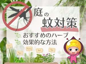 庭の蚊対策におすすめのハーブ・効果的な方法