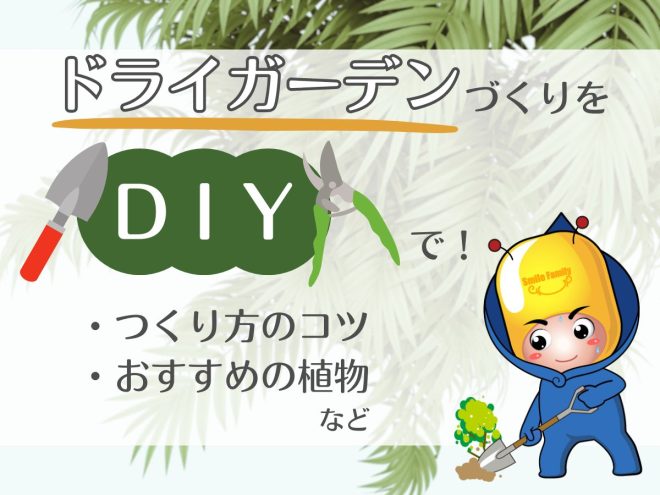 ドライガーデンづくりをDIYで！作り方のコツやおすすめの植物など