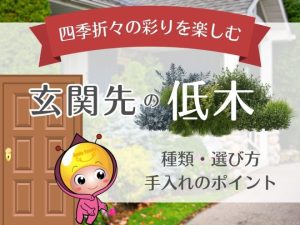 四季折々の彩を楽しむ玄関先の低木（種類・選び方・手入れのポイント）