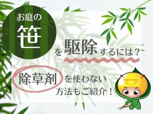 お庭の笹を駆除するには？除草剤を使わない方法もご紹介！