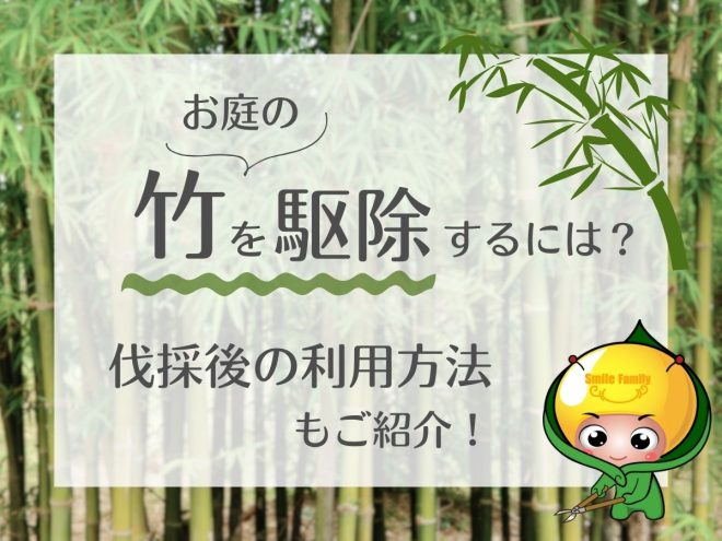 お庭の竹を駆除するには？伐採後の利用方法もご紹介！