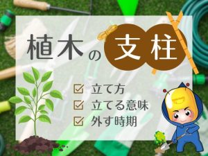 植木の支柱（立て方・立てる意味・外す記事）