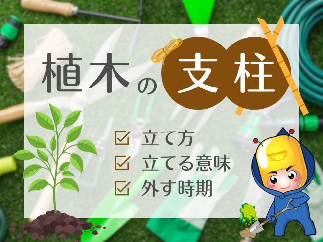 植木の支柱（立て方・立てる意味・外す記事）