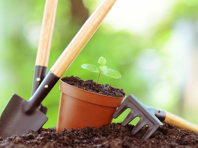 植木鉢の植物と庭道具