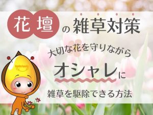 花壇の雑草対策　大切な花を守りながらオシャレに雑草を駆除できる方法