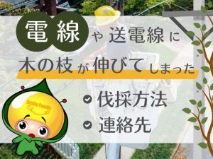 電線や送電線に「木の枝が伸びてしまった」伐採方法・連絡先