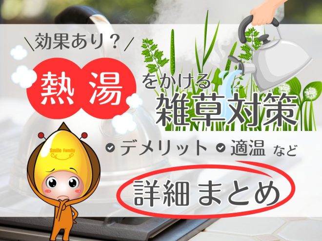 効果あり？熱湯をかける雑草対策のデメリット・適温など詳細まとめ