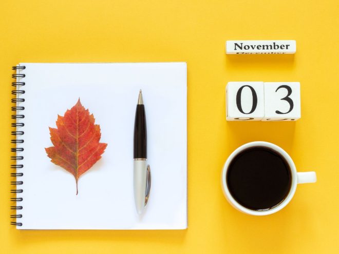 11月3日