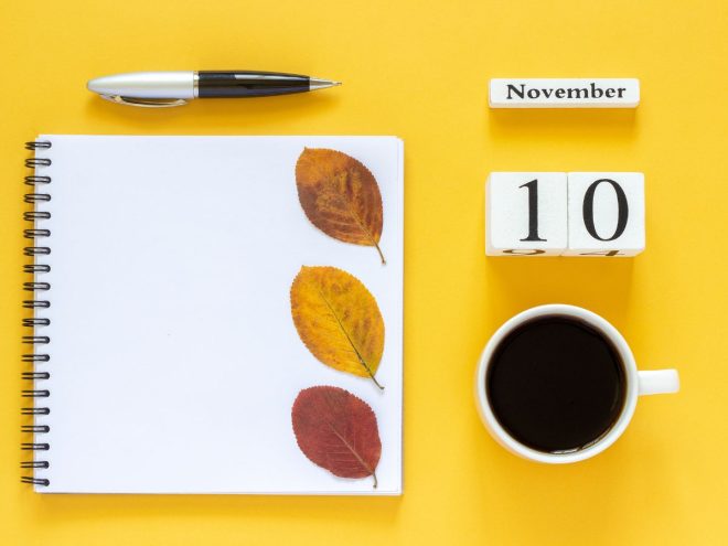 11月10日