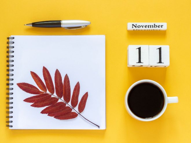 11月11日