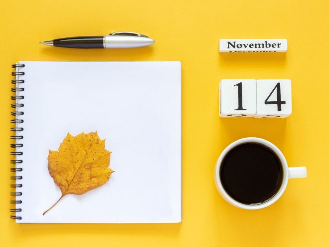 11月14日