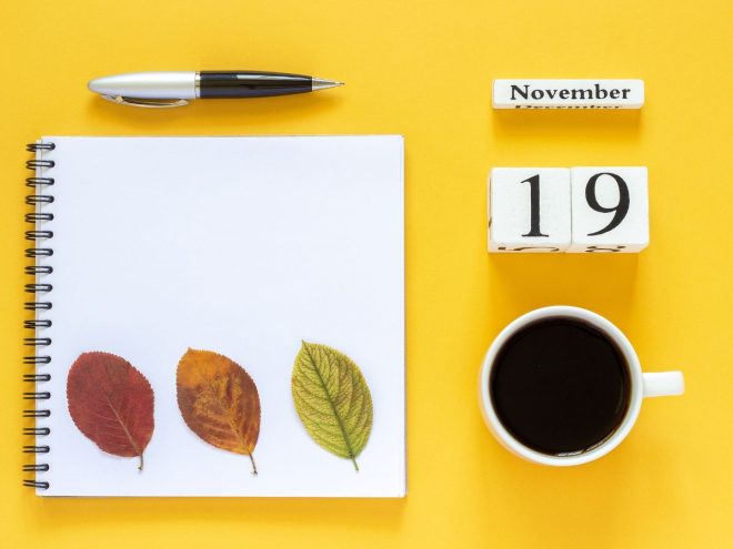 11月19日