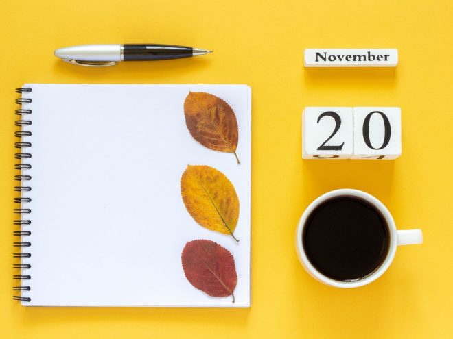 11月20日
