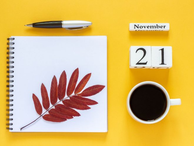 11月21日