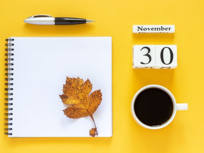 11月30日