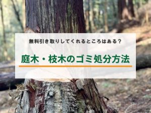 【庭木・枝木のゴミ処分方法】無料引き取りしてくれるところはあるの？業者依頼と自分で処分する方法と合わせて解説 | 全国ガーデン情報サイト「お庭の窓口」