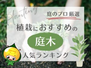 庭のプロ厳選！植栽におすすめの庭木人気ランキング