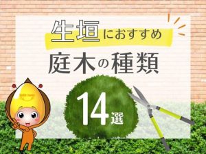 生垣におすすめの庭木の種類14選