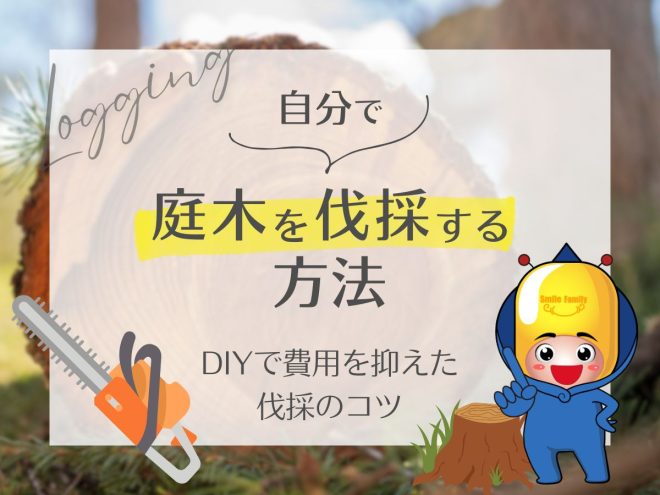 自分で庭木を伐採する方法（DIYで費用を抑えた伐採のコツ）