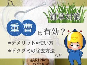 雑草対策に重曹は除草に有効？デメリットや使い方、ドクダミの除去方法など検証 | 全国ガーデン情報サイト「お庭の窓口」