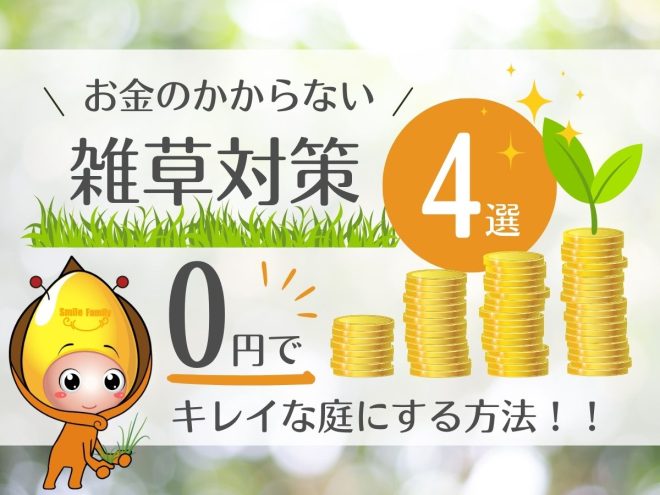 お金のかからない雑草対策4選！0円でキレイな庭にする方法！