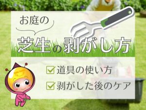 お庭の芝生の剥がし方（道具の使い方・剥がした後のケア）