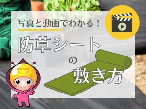 写真と動画でわかる！防草シートの敷き方