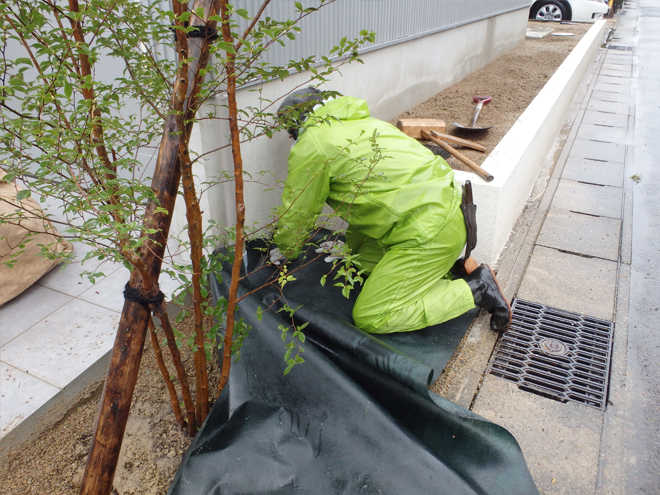 土の上で防草シートをカットしている男性