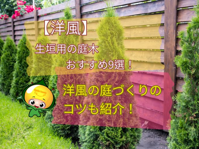洋風　生垣