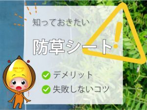 知っておきたい！防草シートのデメリットと失敗しないコツ