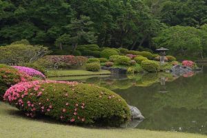 サツキがある庭の風景