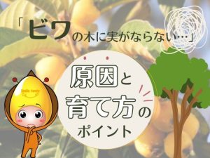 ビワの木に実がならない原因と育て方のポイント