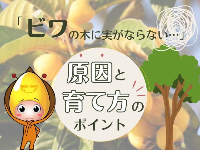 ビワの木に実がならない原因と育て方のポイント